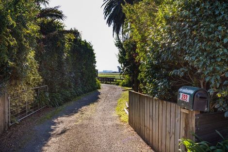 Photo of property in 292 Kairanga Bunnythorpe Road, Bunnythorpe, Palmerston North, 4478