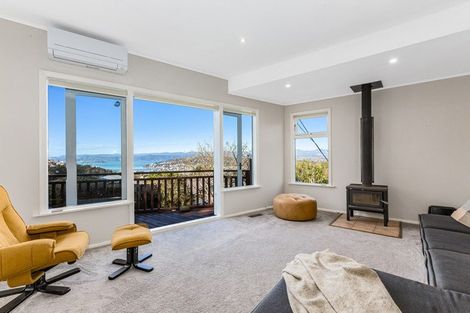 Photo of property in 4 Broomhill Road, Aro Valley, Wellington, 6012