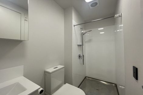 Photo of property in Vedado Apartments, 208/41u Hopper Street, Mount Cook, Wellington, 6011