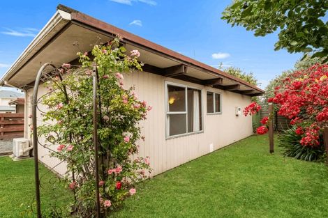 Photo of property in 28c Dublin Street, Whanganui, 4500