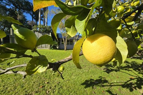 Photo of property in 67 Fifteenth Avenue, Tauranga South, Tauranga, 3112