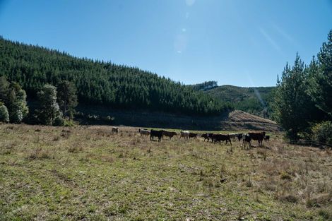 Photo of property in 96 Sunridge Park Road, Morrinsville, 3375
