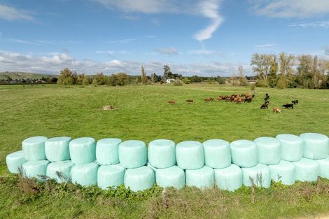 Photo of property in 1575a State Highway 3, Otorohanga, 3974