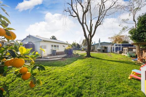 Photo of property in 175 Oxford Street, Ashhurst, 4810