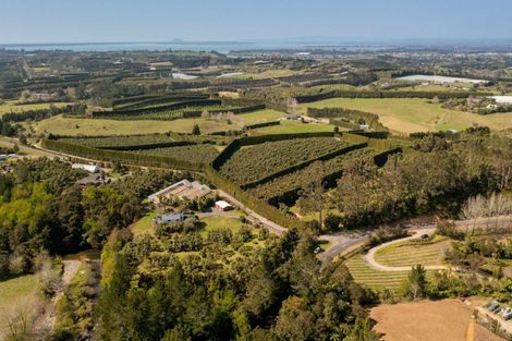 Photo of property in 286a Woodland Road, Tahawai, Katikati, 3170