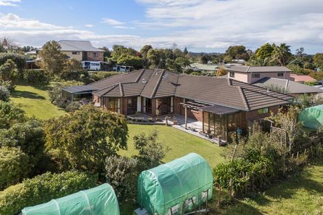 Photo of property in 38 Macmillan Street, Katikati, 3129