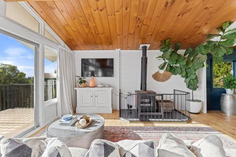 Photo of property in 49 Wood Street, Paeroa, 3600