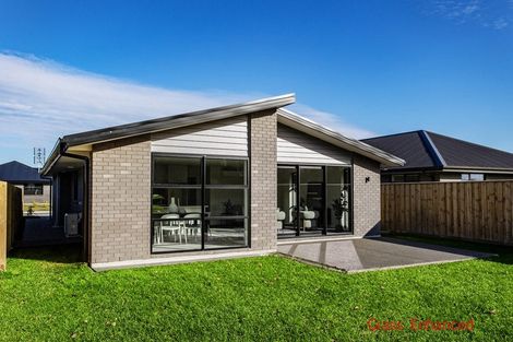 Photo of property in 43 Henshaw Street, Woodend, 7610