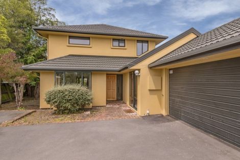Photo of property in 458 Manchester Street, St Albans, Christchurch, 8014