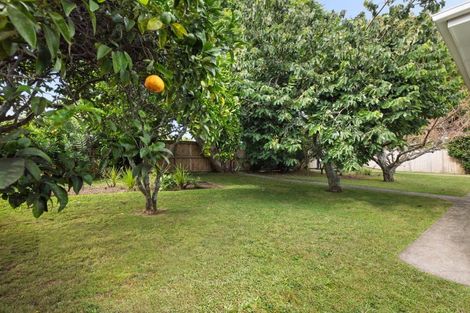Photo of property in 318 Maungatapu Road, Maungatapu, Tauranga, 3112