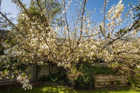 Photo of property in 51 Splitt Avenue, Glenview, Hamilton, 3206