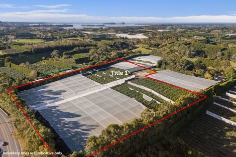 Photo of property in 416 State Highway 2, Tahawai, Katikati, 3170
