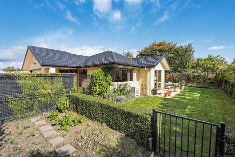 Photo of property in 4a Bary Street, Springlands, Blenheim, 7201