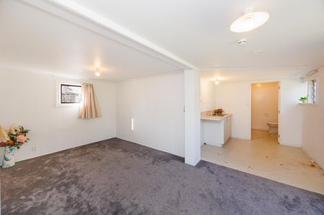 Photo of property in 21 Edgeware Road, Palmerston North, 4410