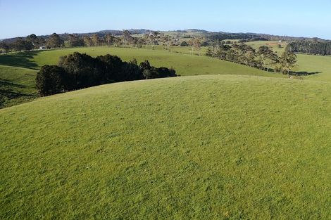 Photo of property in 398 Pungaere Road, Waipapa, Kerikeri, 0295