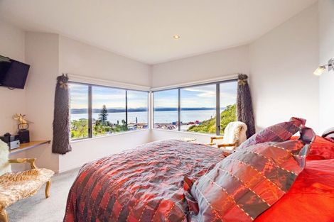 Photo of property in 4b Seapoint Road, Bluff Hill, Napier, 4110