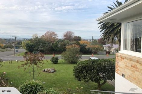 Photo of property in 34 Haggitt Street, Feilding, 4702