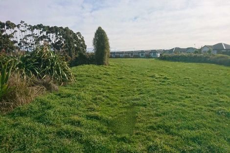 Photo of property in 43 Ranginui Drive, Kaiapoi, 7630