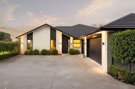 Photo of property in 102 Webster Road, Matangi, Hamilton, 3284