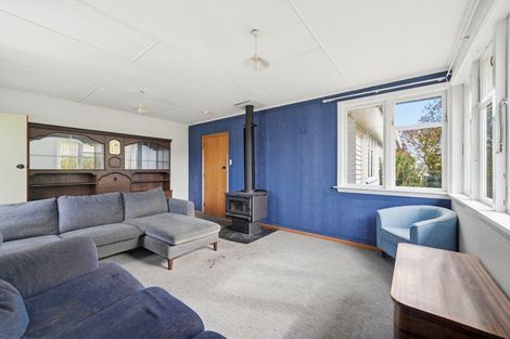 Photo of property in 24 Hawkswood Street, Waiau, 7332