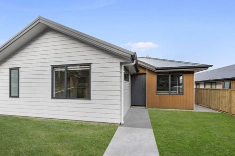 Photo of property in 55u1 Mahoe Street, Melville, Hamilton, 3206