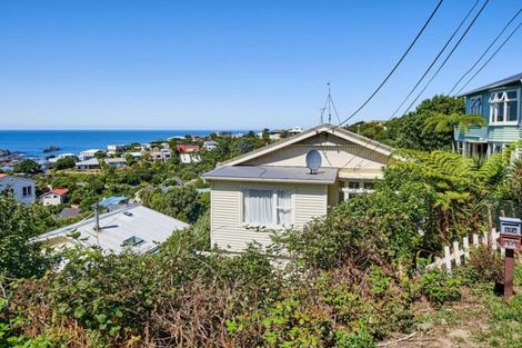 Photo of property in 17 Oku Street, Island Bay, Wellington, 6023