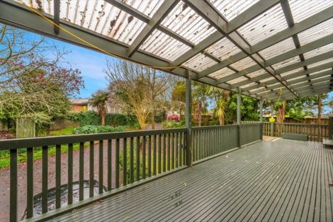 Photo of property in 249 Hukanui Road, Chartwell, Hamilton, 3210