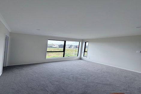 Photo of property in 11 Joint Avenue, Chartwell, 3210