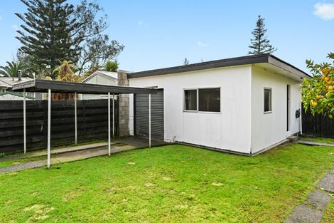 Photo of property in 12 Eucalyptus Place, Chartwell, Hamilton, 3210