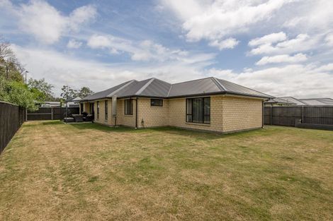 Photo of property in 17 Dynes Road, Rolleston, 7615