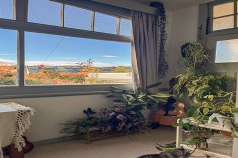 Photo of property in 5 Jessie Street, Maia, Dunedin, 9022