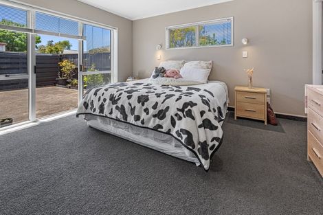 Photo of property in 203a Grenada Street, Mount Maunganui, 3116