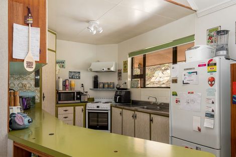 Photo of property in 45 Branxholm Street, Roxburgh, 9500