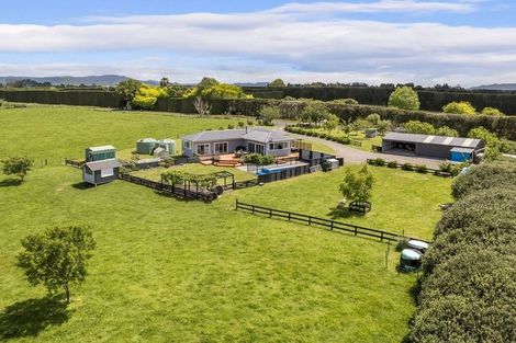 Photo of property in 36 Fisher Road, Waihi, 3681