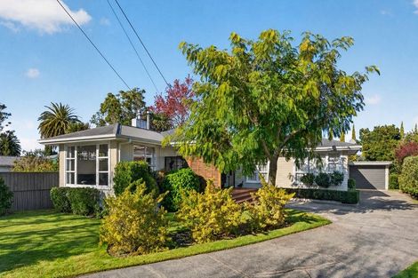 Photo of property in 1 Miro Street, Lansdowne, Masterton, 5810