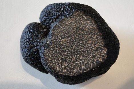 Photo of property in Heritage, 1420 Matapiro Road, Crownthorpe, Hastings, 4179