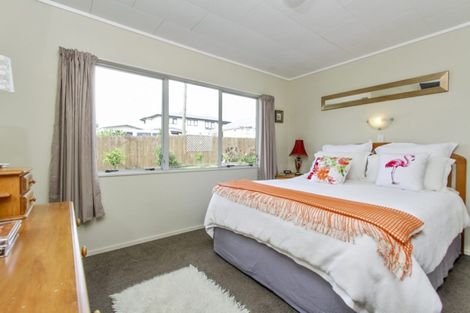 Photo of property in 46 Brandon Road, Glen Eden, Auckland, 0602