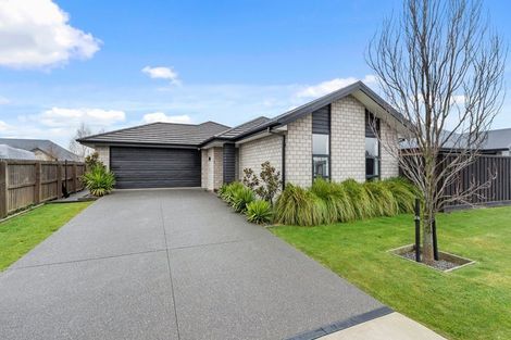 Photo of property in 17 Catchpole Place, Woodend, 7610
