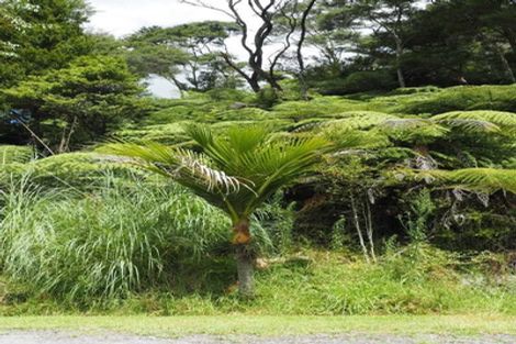 Photo of property in 65 Curtis Road, Rawene, Kaikohe, 0473