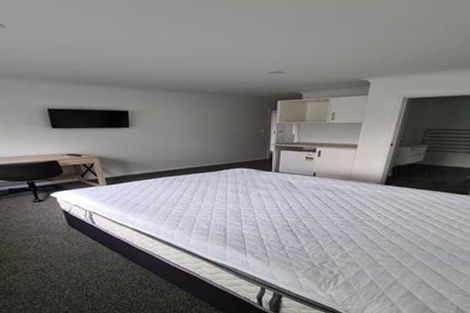 Photo of property in 3u2 Snead Place, Hamilton East, Hamilton, 3216