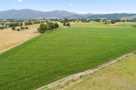 Photo of property in 15 Harakeke Road, Galatea, Murupara, 3079
