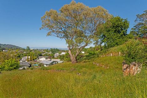 Photo of property in 31 Richardson Avenue, Whataupoko, Gisborne, 4010
