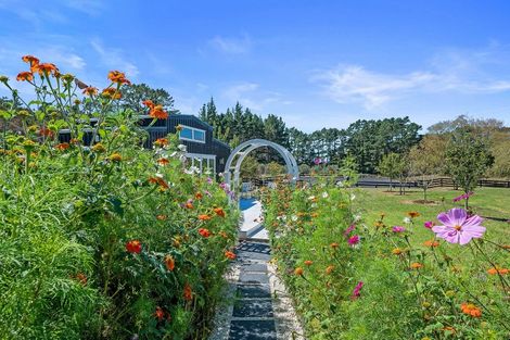 Photo of property in 240 Mill Flat Road, Riverhead, 0793