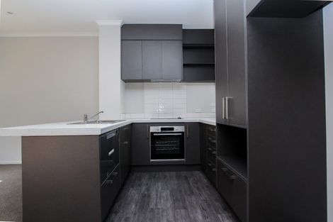 Photo of property in 20u2 Hunter Street, Hamilton Lake, Hamilton, 3204