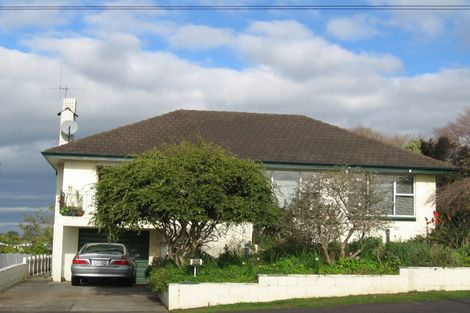 Photo of property in 171 Ellicott Road, Nawton, Hamilton, 3200