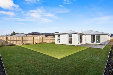 Photo of property in 19 Wilkin Street, Woodend, 7610