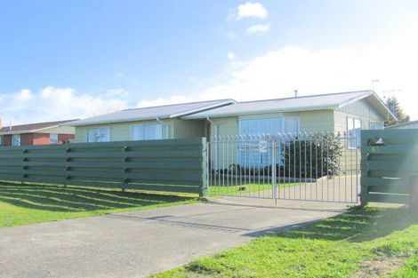 Photo of property in 53 Sherwill Street, Feilding, 4702