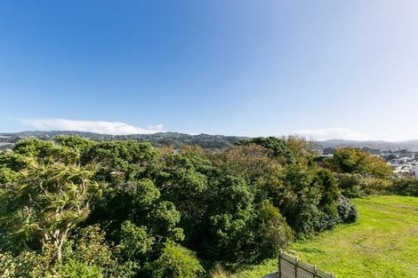 Photo of property in 134a Coromandel Street, Newtown, Wellington, 6021