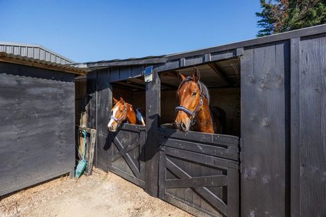 Photo of property in 292 Kairanga Bunnythorpe Road, Bunnythorpe, Palmerston North, 4478