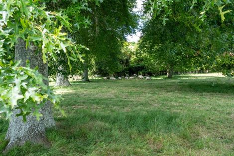 Photo of property in 21 Bollard Road, Tamahere, 3283